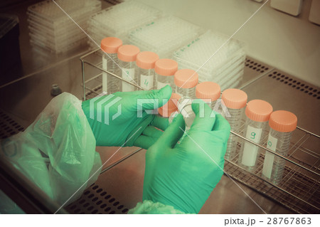 Lab technician takes sample from tube for test Lab technician takes sample from tube for test 28767863