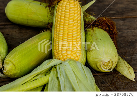 sweet corn with some ears partially husked 28768376