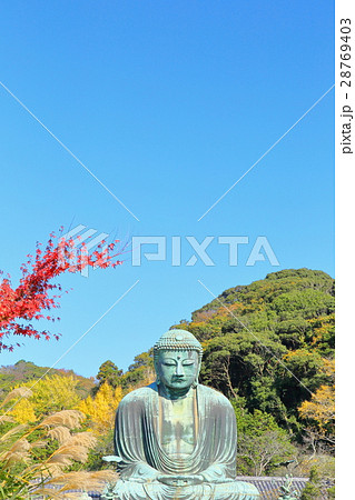 鎌倉　大仏　【長谷・高徳院】 28769403