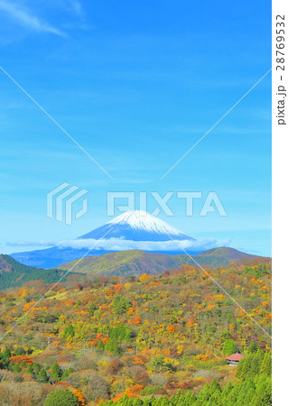 富士山　【箱根・紅葉】 28769532