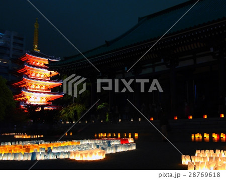 光の東長寺 28769618