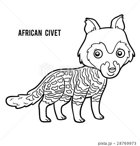 Coloring book, African civet 28769973
