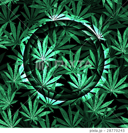 Crowd Of Cannabis Leaves On Black Backgroundのイラスト素材