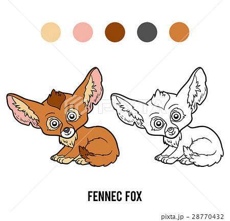 Coloring book, Fennec fox 28770432