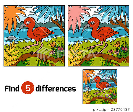 Find differences, Scarlet ibis 28770457