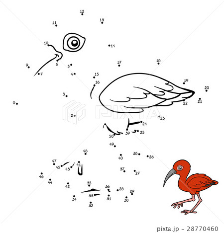Numbers game, Scarlet ibis 28770460