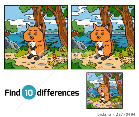 Find differences, Quokka 28770494