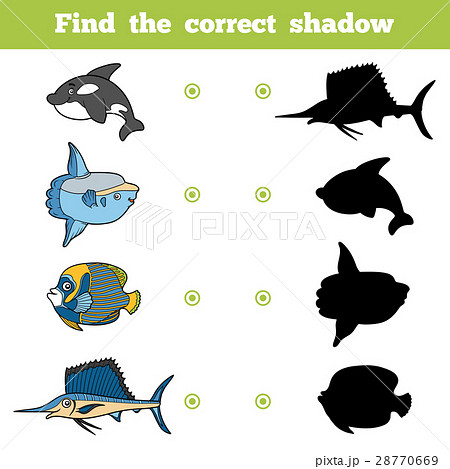 Find the correct shadow. Vector set of sea animals Find the correct shadow. Vector set of sea animals 28770669