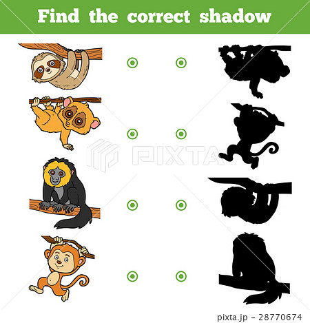 Find the correct shadow. Vector set of animals Find the correct shadow. Vector set of animals 28770674