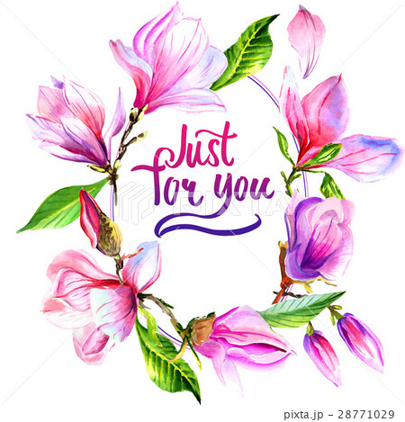 Wildflower magnolia flower frame in a watercolor Wildflower magnolia flower frame in a watercolor 28771029