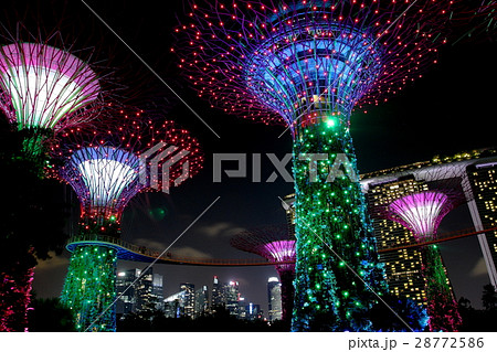 シンガポール ガーデンズ・バイ・ザ・ベイ OCBCガーデン・ラプソディ シンガポール ガーデンズ・バイ・ザ・ベイ OCBCガーデン・ラプソディ 28772586