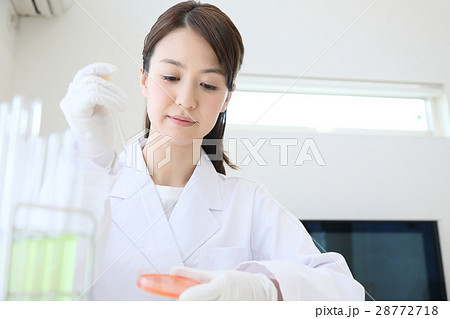 研究者 研究者 28772718