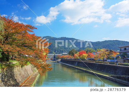 京都　岡崎　秋の琵琶湖疏水 28776379