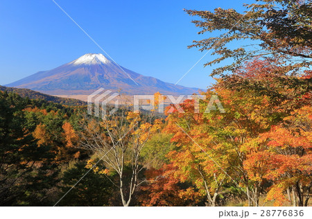 二十曲峠の紅葉と富士山 28776836
