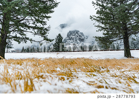 Natural surroundings near through-passage in 28778793