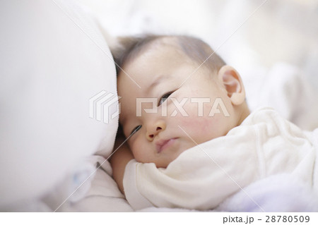 朝の赤ちゃん 28780509