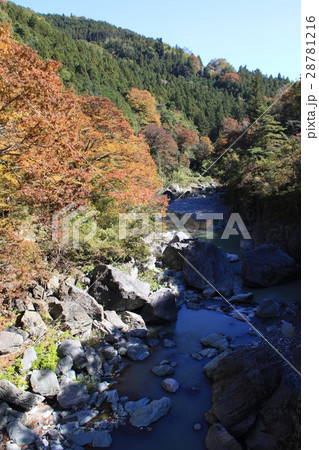 秋の三波石峡の風景 秋の三波石峡の風景 28781216