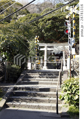 御霊神社（鎌倉市） 28781316