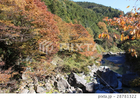 秋の三波石峡の風景 28781322