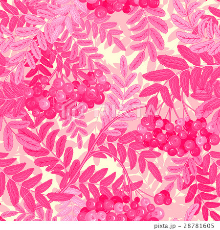 Seamless pattern with leaves and ash-berry 28781605