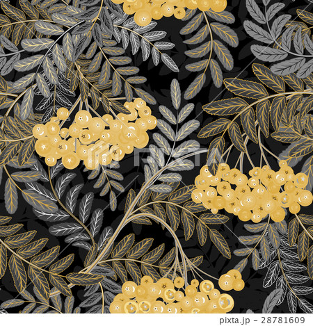 Seamless pattern with leaves and ash-berry 28781609