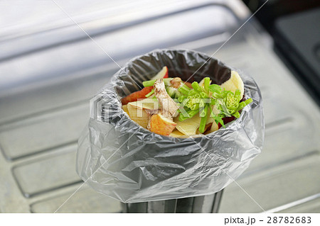 家庭の生ゴミ 家庭の生ゴミ 28782683