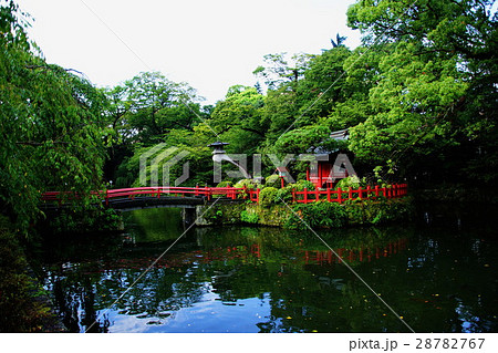 三嶋大社　厳島神社　神池 （三島大社）　静岡県 三島市 大宮町 28782767