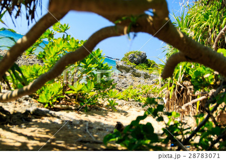 読谷村 残波海岸 読谷村 残波海岸 28783071