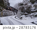 冬の雪道 28783176