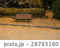 公園のベンチと落葉 28783180