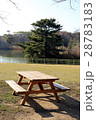 公園のベンチと池 28783183