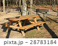 公園のベンチ 28783184