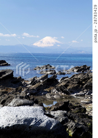 天神島から見える富士山（横須賀市） 28783429