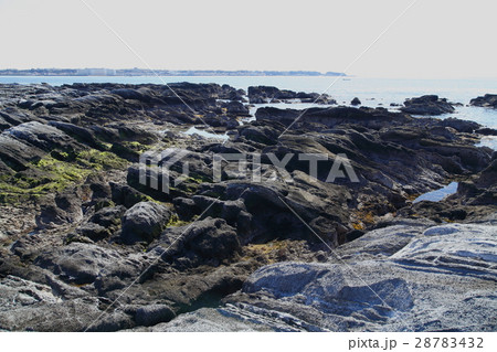 天神島(横須賀市) 天神島(横須賀市) 28783432