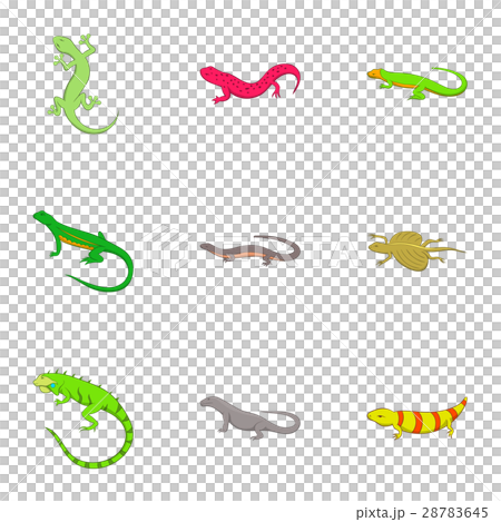 Amphibian reptile species icons set, cartoon style Amphibian reptile species icons set, cartoon style 28783645