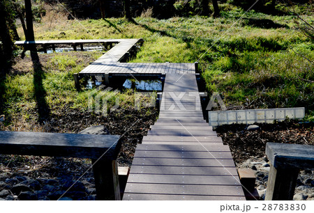 湿地の通路 28783830