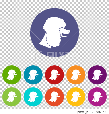 Poodle dog set icons - Stock Illustration [28786145] - PIXTA