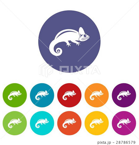 Chameleon set icons 28786579