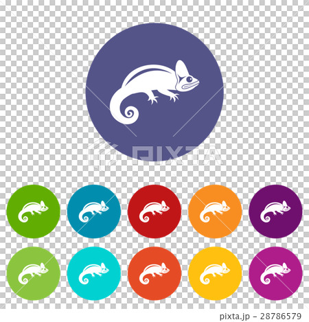 Chameleon set icons 28786579