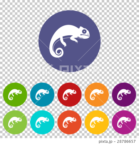 Chameleon set icons Chameleon set icons 28786657