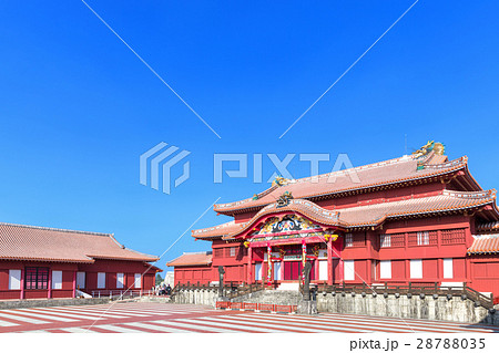 沖縄_快晴に映える首里城 28788035