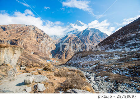 Machhapuchhre beautiful snow mountain  28788697