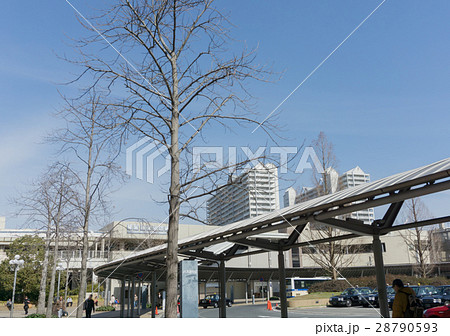 駅前風景　西宮北口駅 28790593