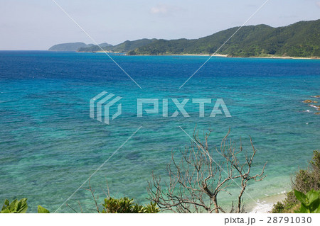 奄美大島、一トン崎の珊瑚礁、鹿児島県 28791030