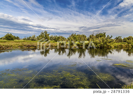 Bright summer lake with sky and clouds reflection 28791336