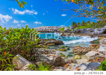 Caribbean beach in Mexico Caribbean beach in Mexico 28793126