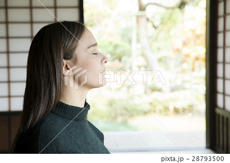 インバウンドイメージ 28793500