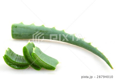 Aloe vera Aloe vera 28794010