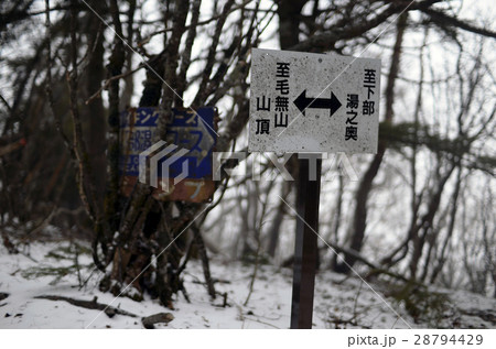 静岡富士宮「毛無山」冬 28794429