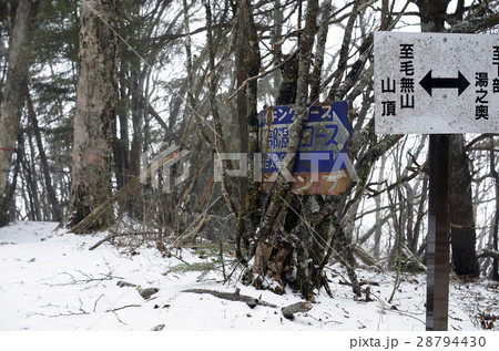 静岡富士宮「毛無山」冬 28794430
